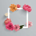 Nepali Call Girls Logo